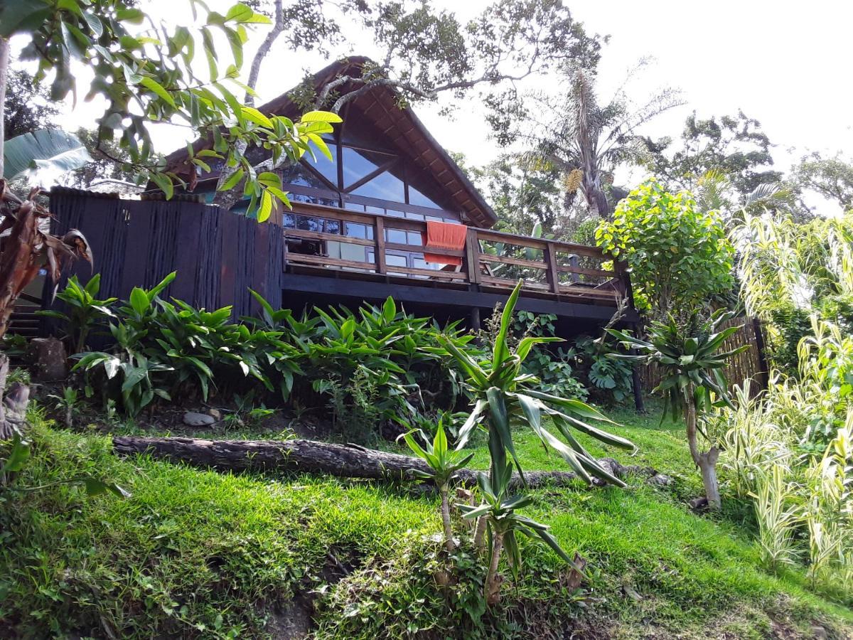 Lodge Delicious Monster Accommodation